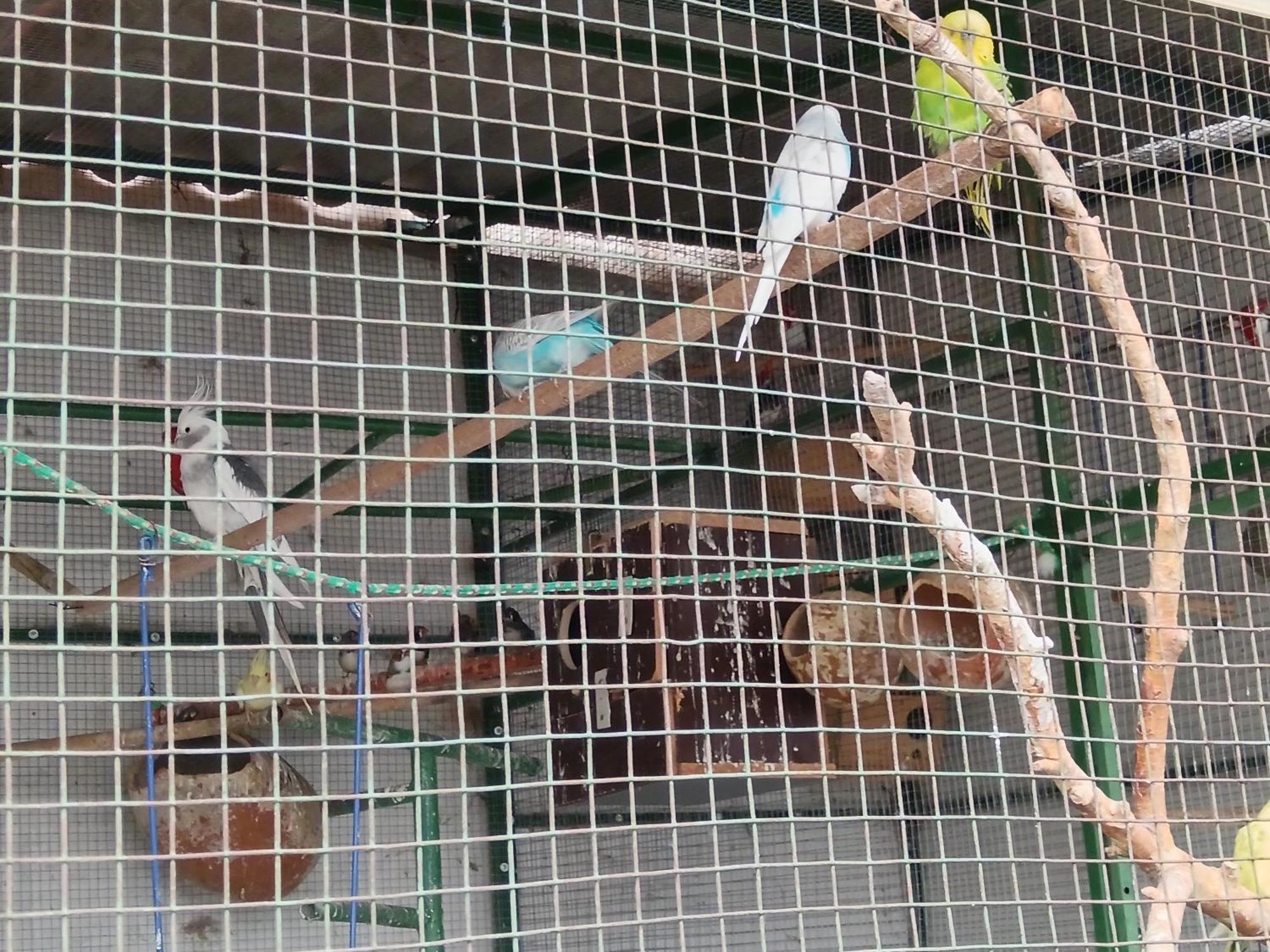 Hospedaje Ajayu Sucre Exteriér fotografie